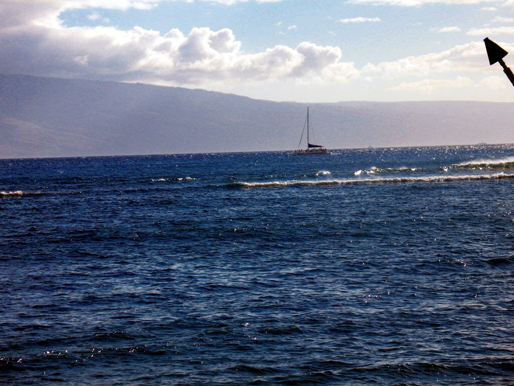 [Hawaii_2010 238[5].jpg]